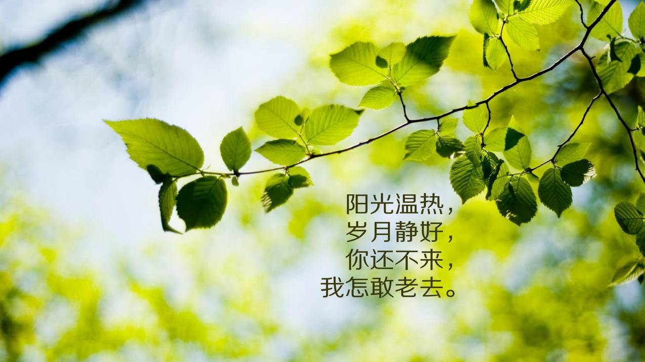 免费24小时业务下单平台|抖音24小时自助服务平台在哪里|点赞下单业务
